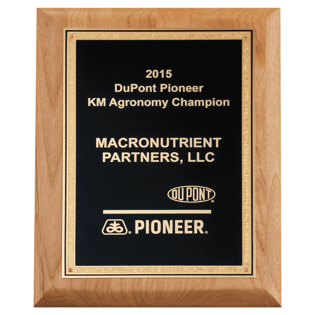 Alder Wood Plaque with Black Textured Gold 8" x 10" Natural Florentine Bordered LaserFX Plate