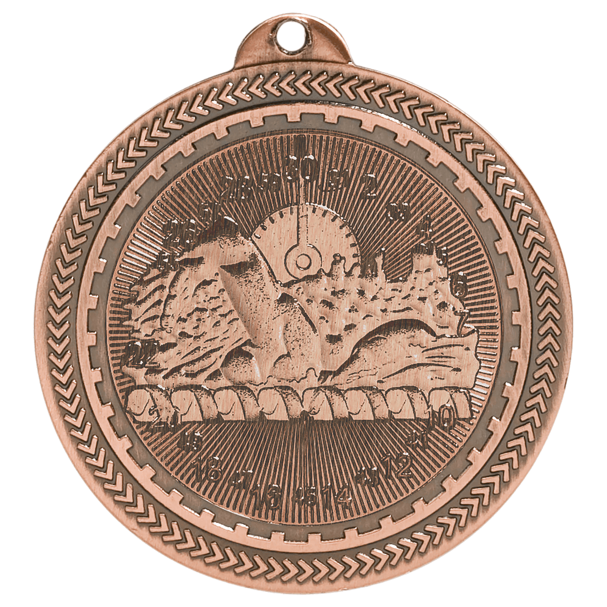 Antique Bronze 2" Swimming Laserable BriteLazer Medal