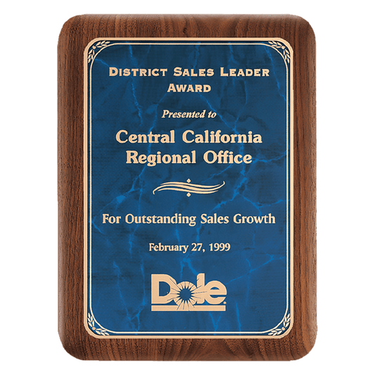 Walnut Plaque with Gold 9" x 12" American Border Sapphire Marble LaserFX Plate